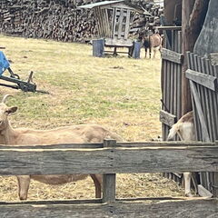 23-03-05 13-09-25 4760